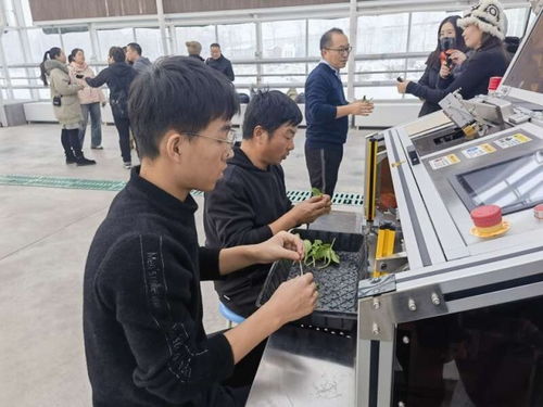 追著雪花看新疆 農(nóng)業(yè)博覽園中的高科技植物工廠