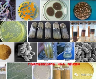 南寧微瑞生物科技 聚焦前沿科技，驅(qū)動(dòng)健康未來(lái)